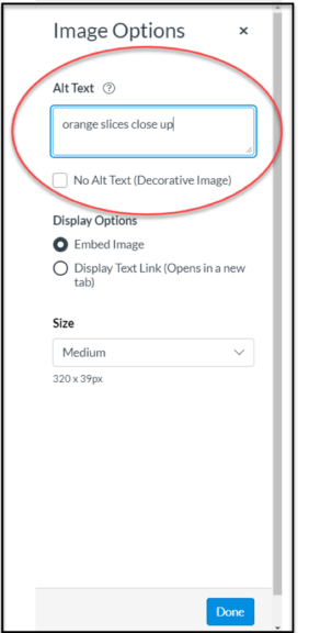 image options menu with alt text box circled in red